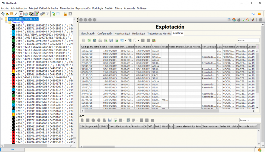 pantalla_trabajo_cl_explotacion_analiticas.png